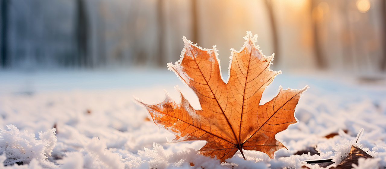 Gut abgesichert: Die kalte Jahreszeit birgt besondere Risiken wie Frostschäden oder Unfälle. Darauf gilt es bei der Absicherung zu achten.