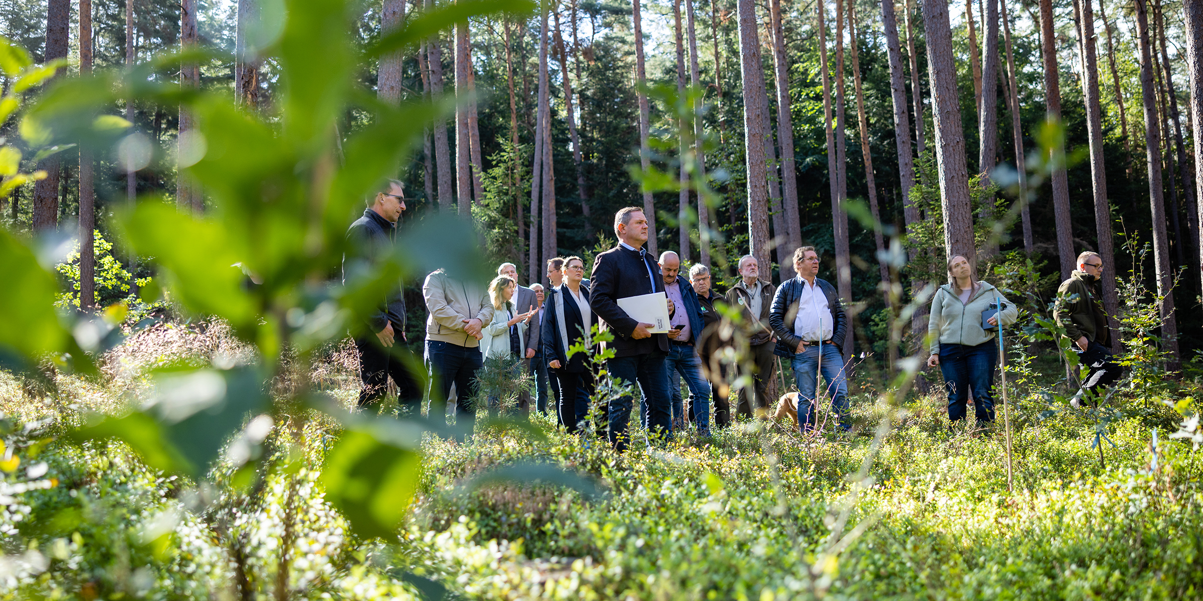 Landrat Bernd Obst (Mitte) bei der Vorstellung des neuen Förderprogramms für den Wald „Im Schulterschluss zum Klimawald“ in einem Waldstück am Dillenberg bei Stinzendorf. Fotorechte: Landratsamt Fürth.